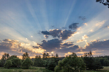 A scenic photo of a sunset over a dense forest with sunlight shining through the clouds.