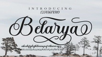 Luxury alphabet letters font. Classic Lettering Minimal Fashion Designs. Typography sans serif simple wedding logo fonts and number. vector illustration