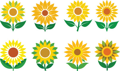 Sunflower vector illustration