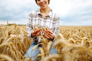 Agronomist  woman holds ears of wheat, check quality of wheat grain. Agriculture food industry.