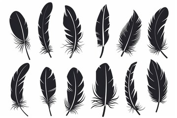 Feather icon, animal feathers isolated, black plume symbol, minimal plume silhouette on white