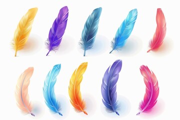 Feather icon, animal feathers isolated, plume symbol, elegant soft plume sign on white background