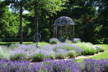Lavender farm fields with a purple gazebo and weather vane statue © MargJohnsonVA