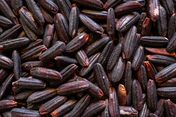 grains of black rice in close-up