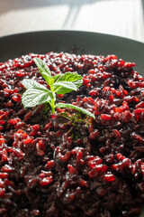 black rice dish on black plate in close-up