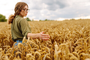 Wheat quality check. Woman Farmer with ears of wheat in a wheat field. Harvesting. Agrobusiness.