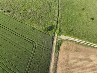 Felder im Sommer am Abend unter einem blauen Himmel