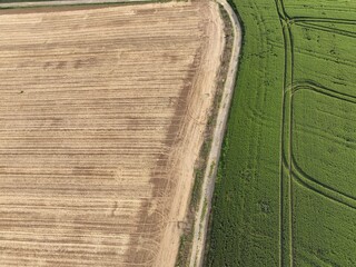 Felder im Sommer am Abend unter einem blauen Himmel