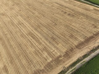 Nicht bestellte Felder im Sommer, Felder ohne Korn, Erde erholt sich in Rheinland-Pfalz