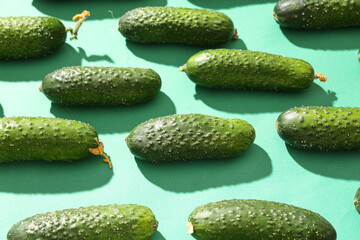 Fresh green cucumbers on color background