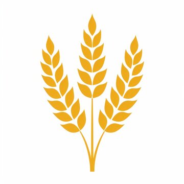 recommend clip art: Three Golden Wheat Stalks on a White Background