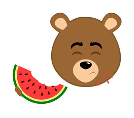 vector illustration face brown bear grizzly cartoon eating watermelon fruit