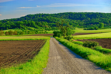 Beautiful summer calm landscapes of Bavaria.