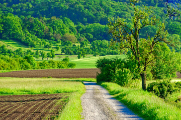Beautiful summer calm landscapes of Bavaria.