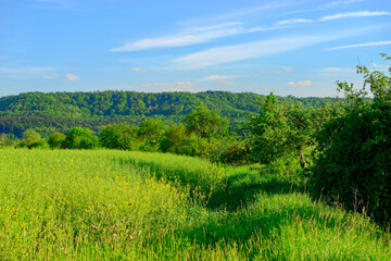 Fototapeta premium Beautiful summer calm landscapes of Bavaria.