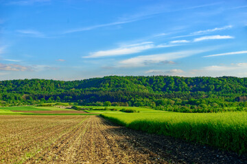 Obraz premium Beautiful summer calm landscapes of Bavaria.