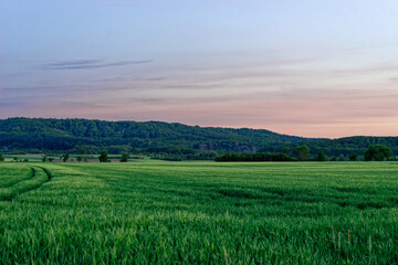 Obraz premium Beautiful summer calm landscapes of Bavaria.