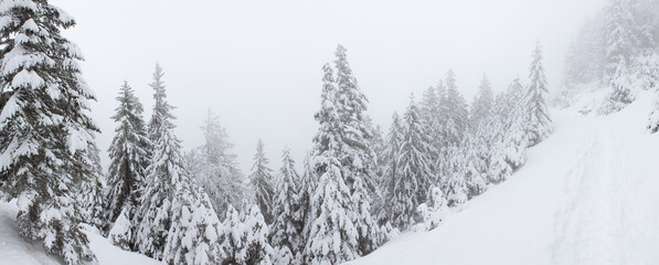Fog over winter landscape in the mountains