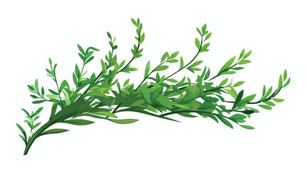 Branch of herbs clipart isolated vector illustratio