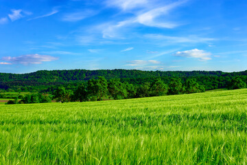 Obraz premium Beautiful summer calm landscapes of Bavaria.