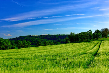 Fototapeta premium Beautiful summer calm landscapes of Bavaria.