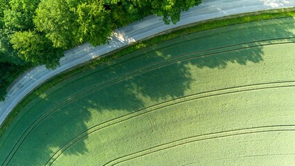 Aerial view landscape of winding road in the forest with a wheat field.