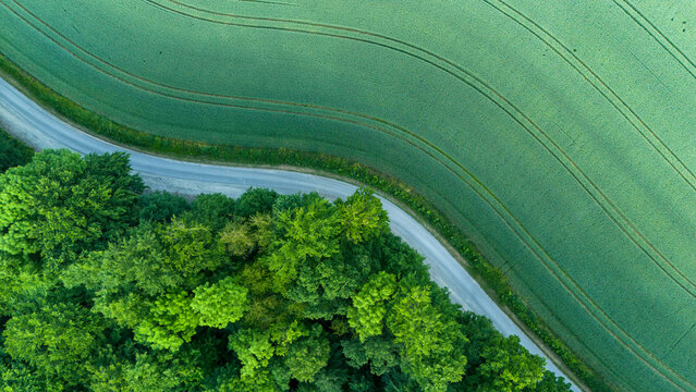 Aerial view landscape of winding road in the forest with a wheat field.
