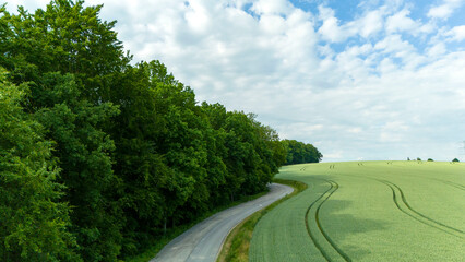 Aerial view landscape of winding road in the forest with a wheat field.