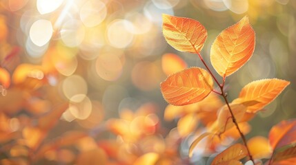 A leafy tree with a bright orange leaf