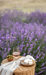Glass of white wine in a lavender field. Violet flowers on the background.