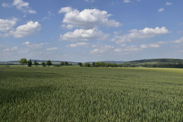 Obraz premium Landschaft zwischen Gronau und Alfeld