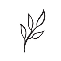 Flower and greenery frame and border