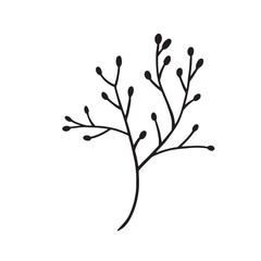 Flower and greenery frame and border