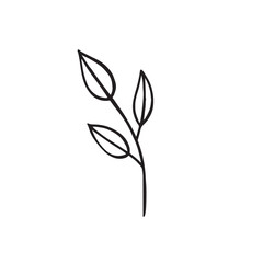 Flower and greenery frame and border