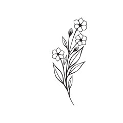 Flower and greenery frame and border