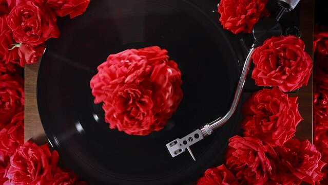 Classic vinyl record playing with red roses flowers background. Romantic collection, turntable spin, analog sound, beautiful music for love. LP