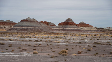 Petrified Forest National Park 