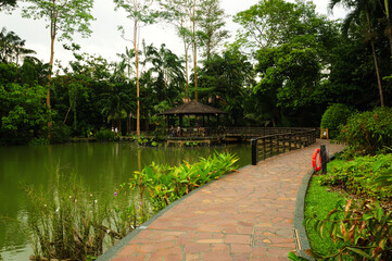 The Botanic Gardens, Singapore