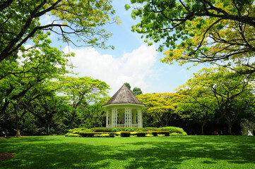 A peaceful scene from the Singapore Botanic Gardens