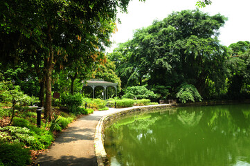A peaceful scene in Singapore Botanic Gardens