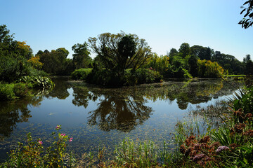 A small lake in the Royal Botanic Gardens, Melbourne, Victoria, Australia
