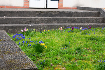 spring wildflowers at the doorstep of the house