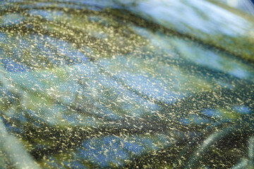 yellow pollen covere metalic surface.