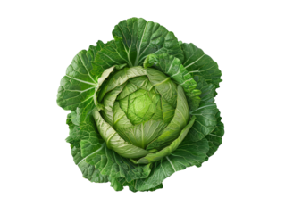 Close-up of a fresh green cabbage isolated on white background, showcasing its vibrant leaves and intricate natural patterns.