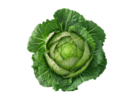 Close-up of a fresh green cabbage isolated on white background, showcasing its vibrant leaves and intricate natural patterns.