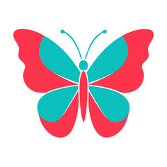 butterfly isolated on white background