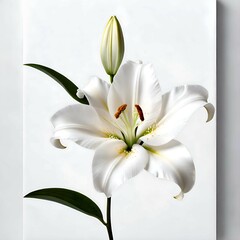 Obraz premium Flower Stock Photo, Nature Beauty, Flowers, Background, Colorful Flower, Generated By Ai.