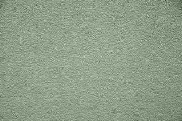 Sage green textured surface as background, closeup © New Africa