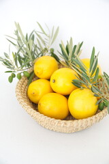 Classic lemon fruits, Citrus limon, in woven basket, branches of olive, on white background