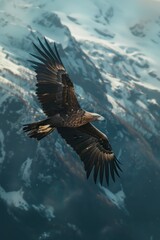 American bald eagle flying against the backdrop of beautiful mountain views